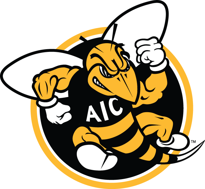 AIC Yellow Jackets 2009-Pres Alternate Logo t shirts iron on transfers